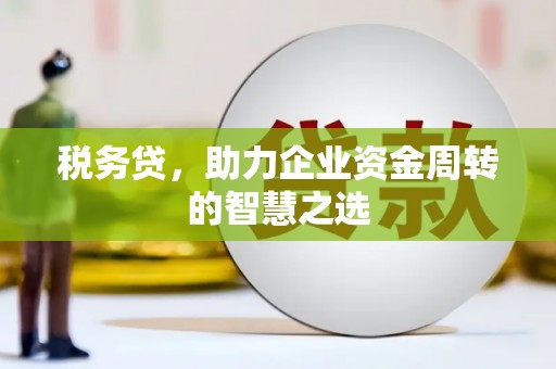 遵化市税务贷，助力企业资金周转的智慧之选