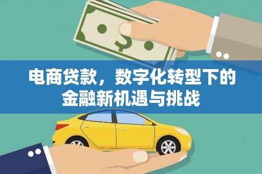 遵化市电商贷款，数字化转型下的金融新机遇与挑战