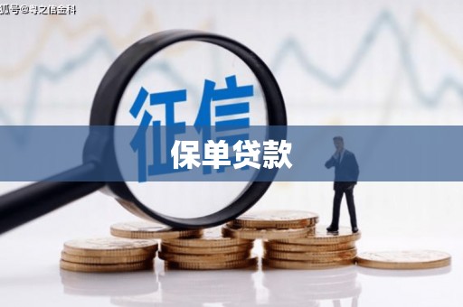 遵化市保单贷款