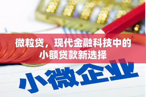 遵化市微粒贷，现代金融科技中的小额贷款新选择
