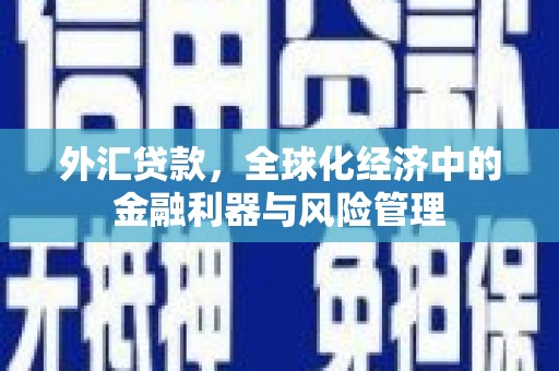 遵化市外汇贷款，全球化经济中的金融利器与风险管理