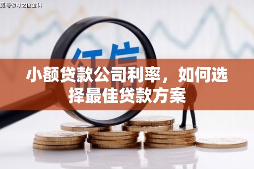 遵化市小额贷款公司利率，如何选择最佳贷款方案