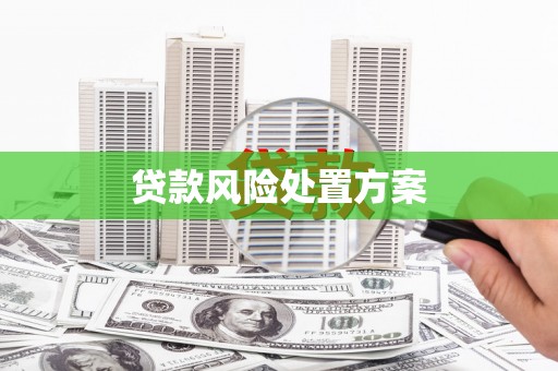遵化市贷款风险处置方案