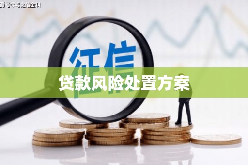 遵化市贷款风险处置方案