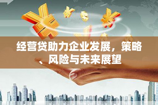 遵化市经营贷助力企业发展，策略、风险与未来展望