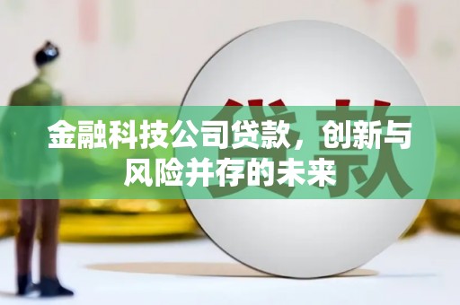 遵化市金融科技公司贷款，创新与风险并存的未来