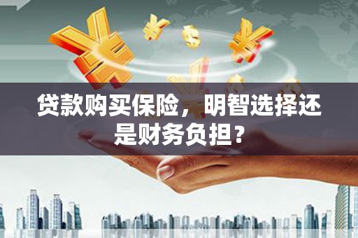 遵化市贷款购买保险，明智选择还是财务负担？