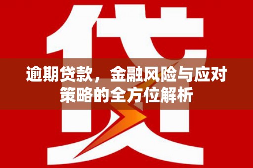 遵化市逾期贷款，金融风险与应对策略的全方位解析