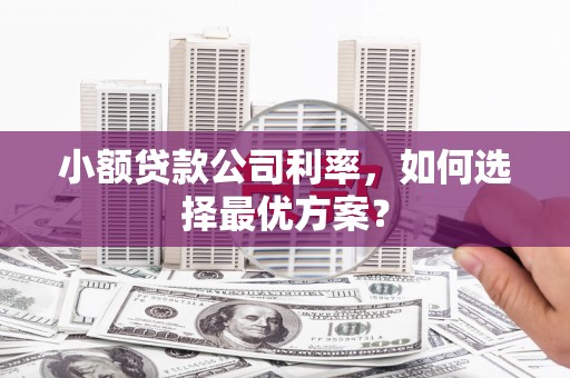 遵化市小额贷款公司利率，如何选择最优方案？