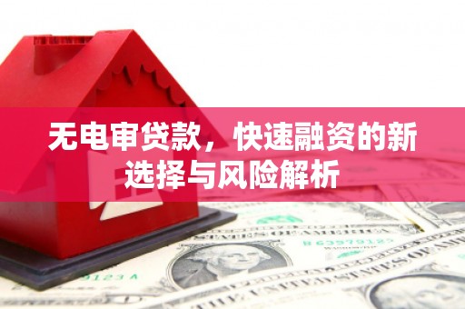 遵化市无电审贷款，快速融资的新选择与风险解析