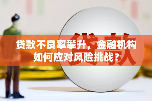 遵化市贷款不良率攀升，金融机构如何应对风险挑战？