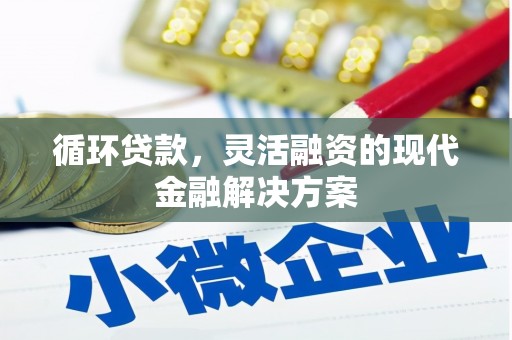 遵化市循环贷款，灵活融资的现代金融解决方案