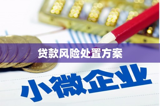 遵化市贷款风险处置方案