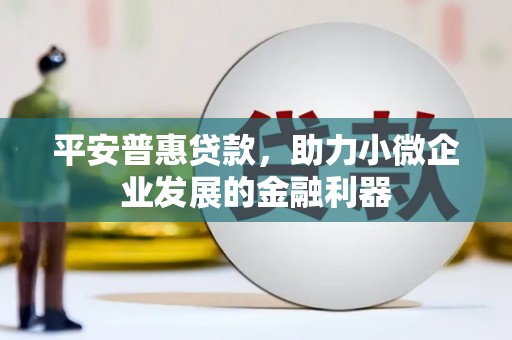 遵化市平安普惠贷款，助力小微企业发展的金融利器