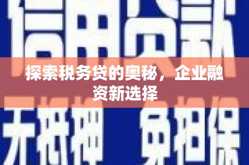 遵化市探索税务贷的奥秘，企业融资新选择