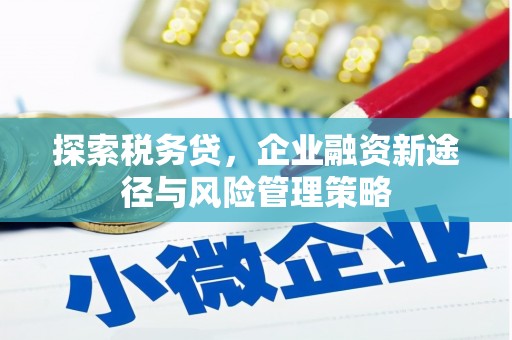 遵化市探索税务贷，企业融资新途径与风险管理策略