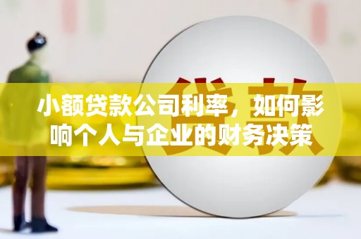 遵化市小额贷款公司利率，如何影响个人与企业的财务决策