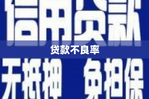 遵化市贷款不良率