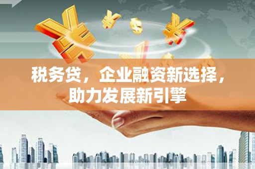 遵化市税务贷，企业融资新选择，助力发展新引擎
