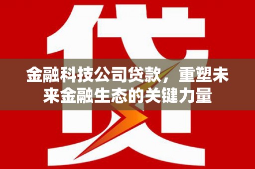 遵化市金融科技公司贷款，重塑未来金融生态的关键力量