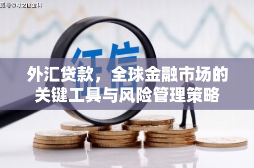 遵化市外汇贷款，全球金融市场的关键工具与风险管理策略