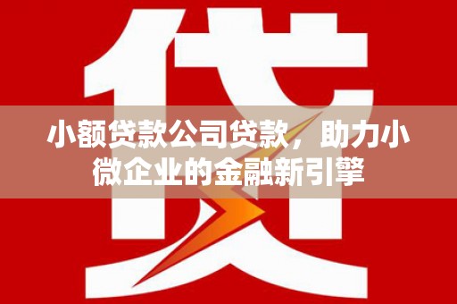 遵化市小额贷款公司贷款，助力小微企业的金融新引擎