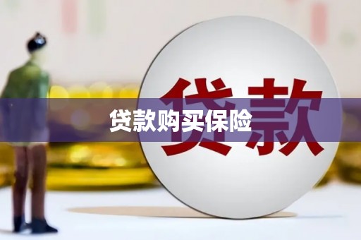 遵化市贷款购买保险