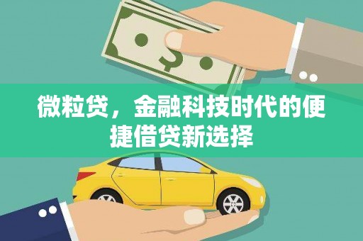 遵化市微粒贷，金融科技时代的便捷借贷新选择