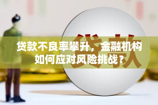 遵化市贷款不良率攀升，金融机构如何应对风险挑战？