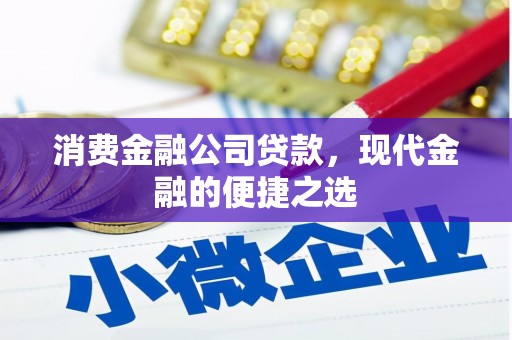 遵化市消费金融公司贷款，现代金融的便捷之选